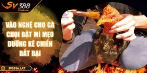 vao-nghe-cho-ga-choi